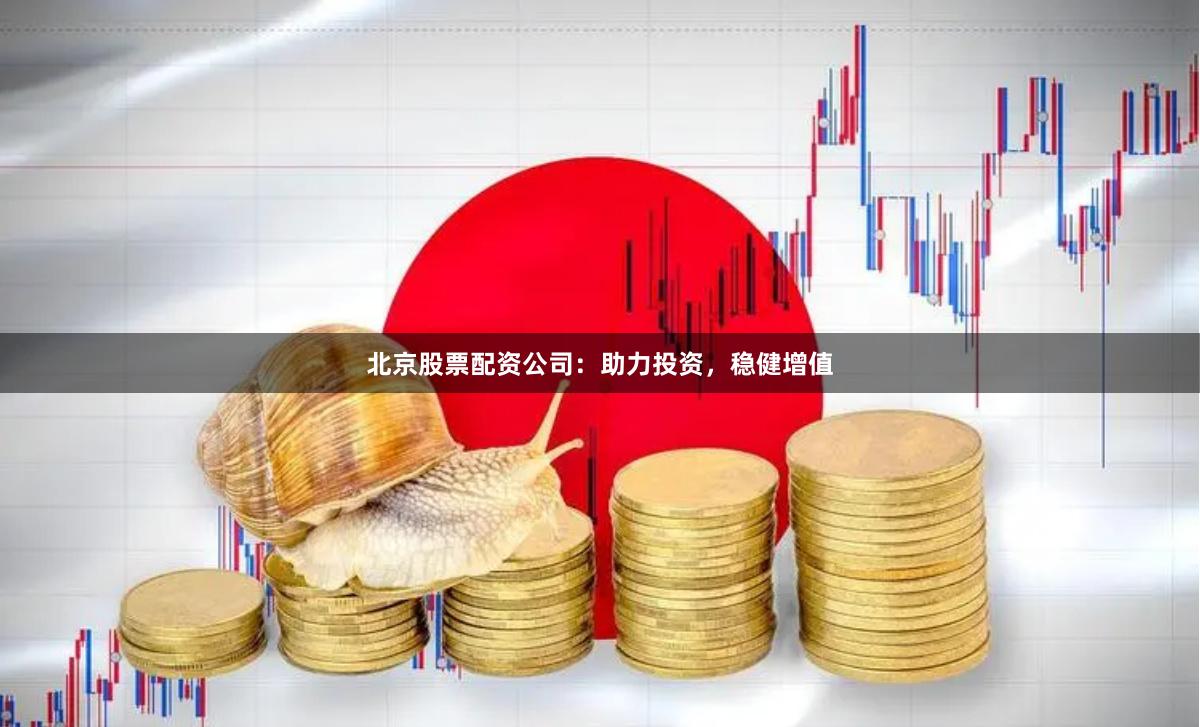北京股票配资公司：助力投资，稳健增值