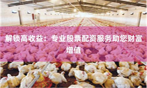 解锁高收益：专业股票配资服务助您财富增值