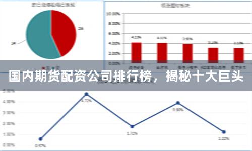 国内期货配资公司排行榜，揭秘十大巨头