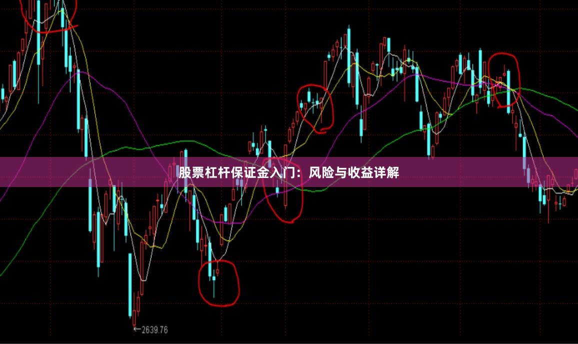股票杠杆保证金入门:风险与收益详解